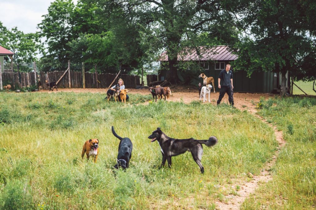 Barking Springs Dog Ranch